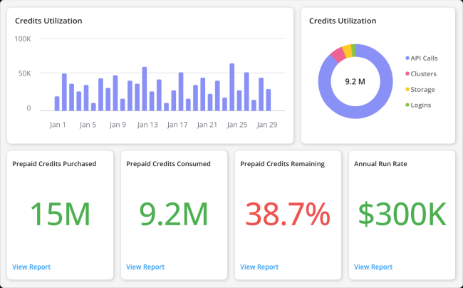 amberflo-dashboard
