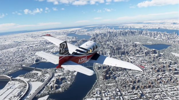 flight simulator