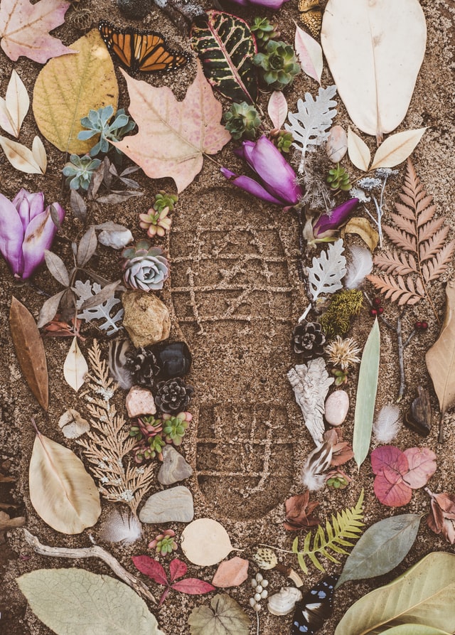 garden footprint