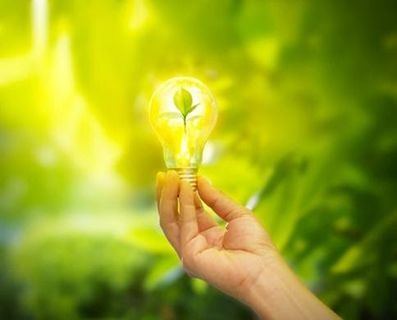 hand-holding-light-bulb