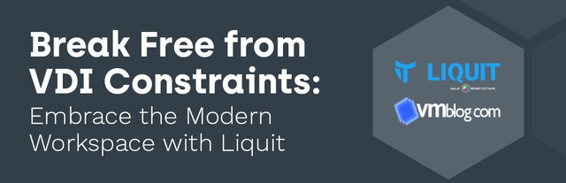 Liquit VDI Constraints