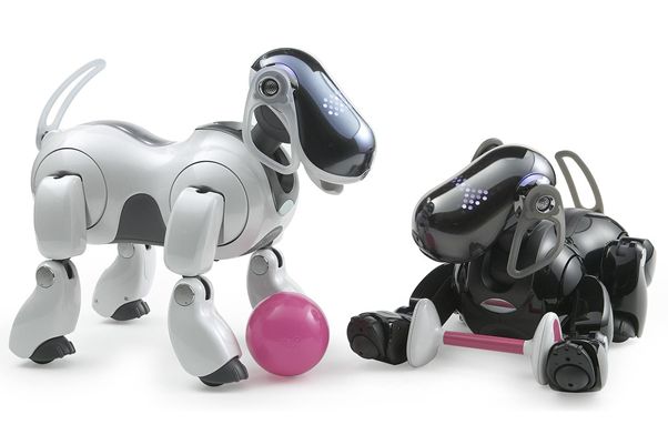 sonyaibo